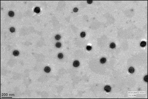 Figure 3. TEM image of the selected batch of TA loaded solid lipid nanoparticle.