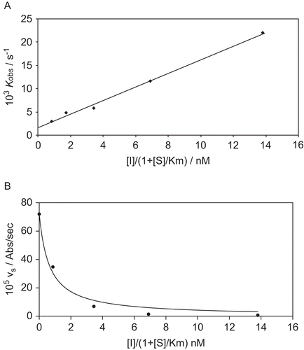Figure 3.  A) Effect of inhibitor concentration on the onset of inhibition of HLE by 4-oxo-β-lactam 3. The values of kobs were obtained as an average of at least duplicate assays from fits to Equation 1 of the data shown in Figure 2; B) Plot of the steady-state rates, vs, versus [Citation3] for the inhibition of HLE. The data were obtained from fits of the curves shown in Figure 2. The solid line was drawn using the best-fit parameters from a fit according to Equation 5.