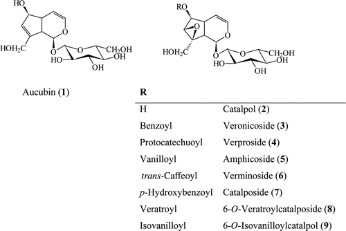 Figure 1.  Structures of compounds 1–9 isolated from V. cuneifolia subsp. cuneifolia and V. cymbalaria.