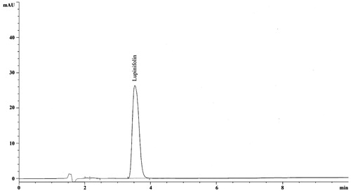 Figure 9. HPLC chromatogram of standard lupinifolin.