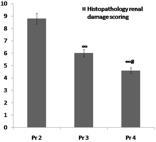 Figure 6. Comparison between group Pr2 (ARF model group), group Pr3 (ABE 100 mg/kg/day for7 days) and group Pr4 (ABE 200 mg/kg/day for 7days) regarding renal histopathological scoring when assessed 24 h after induction of ARF. Notes: The statistical significance between the Pr-treated groups (Pr3, Pr4) and Pr2 model group, was determined using Tukey’s test. ∞p < 0.001 versus Pr2 ARF model group, #p < 0.001 versus Pr3 ABE (100 mg/kg/day)-treated group. Pr: Prophylaxis, ABE: Açai berry extract, ARF: acute renal failure.