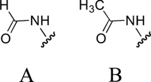 Figure 1. Structure of possible N‐terminus groups found on polyamides: (a) the formamido‐group (f‐) and (b) the acetyl‐group (CH3‐).