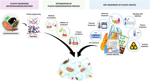 Figure 1. Strategies that enhance the overall efficiency of plastic biodegradation process.