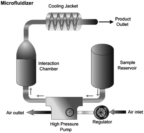 Figure 5. Simple depiction of a microfluidizer device.