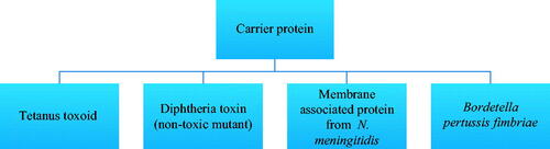 Figure 2. Types of carrier proteins used in vaccines.
