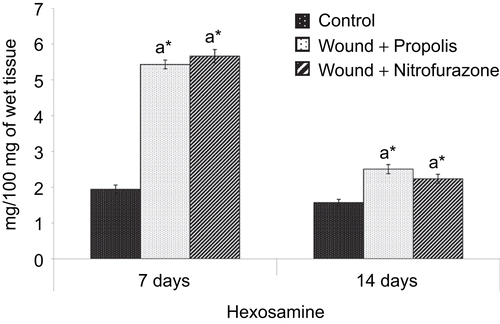 Figure 3.  Effect of Indian propolis on the level of hexosamine in the excision wound model. Values are mean ± SEM; n = 6 in each group. *Significant at p < 0.05 as compared with the control group of rats.