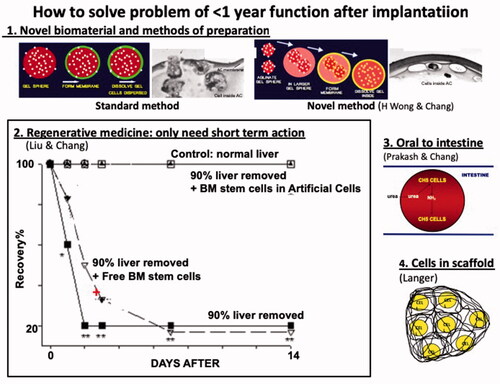 Figure 15. Artificial cells containing cells can only function for up to 1 year after implantation. This has been resolved by (1) biomaterial and method improvement (2) use in regenerative medicine that only need 3-4 months of function for example stem cells in liver regeneration. (3) Oral administration and (4) the use of biodegradable scaffold. Updated from Chang [Citation9,Citation10] with copyright permission.