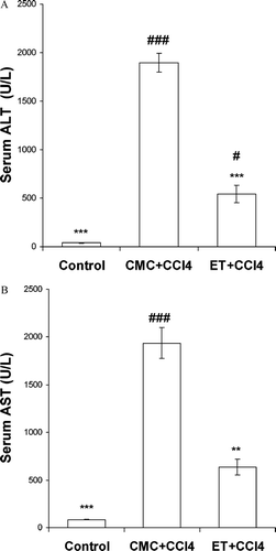 Figure 4 (A) Effect of different doses of ET on serum ALT level elevation by CCl4 (n = 6). Values are means ± SEM; *** indicates significant difference compared with the CMC plus CCl4-treated group at p < 0.05 and p < 0.01, respectively; # and ### indicate significant differences compared with the control group at p < 0.05 and p < 0.001 respectively. (B) Effect of different doses of ET on serum AST level elevation by CCl4 (n = 6). Values are means ± SEM; ** and *** indicate significant differences compared with the CMC plus CCl4 group at p < 0.01 and p < 0.001, respectively; ### indicates significant difference compared with the control group at p < 0.001.