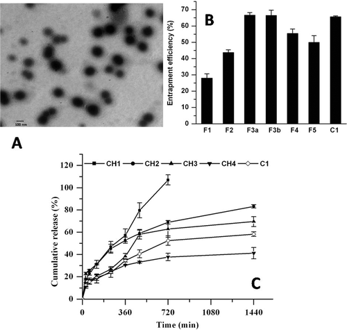 Figure 1.  (A) Transmission electron micrograph of pegylated liposomes (C1) of PLB. (B) Encapsulation efficiency (%) of PLB. F1-F5 represents conventional, whereas C1 represents long circulating liposomes. (C) Effect of cholesterol on in vitro release profile of conventional (CH1-CH4) and long circulating liposomes (C1) in PBS at 37 °C (n = 3).