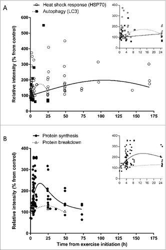 Figure 2. Time-course effect of acute exercise on (A) heat shock response (HSP70) and autophagy (LC3), and (B) protein synthesis and protein breakdown in humans based on acute exercise trials listed in Tables S1-4. Each dot represents 1 measurement. In both panels (A and B) the X-axis represents the time from the start of exercise, that is the sum of times in hours representing duration of exercise and collection time post-exercise; in panel (A), the Y-axis represents relative intensity of HSP70 protein expression (Table S1) or LC3 protein expression (Table S2); in panel (B), the Y-axis represents relative intensity of protein synthesis (Table S3) or protein breakdown (Table S4). (Insets) Expanded views of the first 25-h time point. Axes titles removed for clarity. The X-axis represents time from the start of exercise in hours, and the Y-axis represents relative intensity (% from control). In the (A) inset the Y-axis scale was truncated to improve clarity.