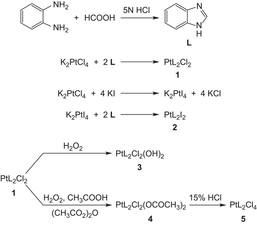 Scheme 1.  Synthesis of carrier ligand and Pt(II) and Pt(IV) complexes.