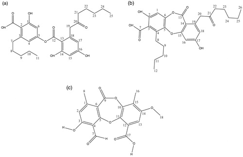 Figure 1. The chemical structures of lichen secondary metabolites: (a) olivetoric acid, (b) physodic acid and (c) psoromic acid.