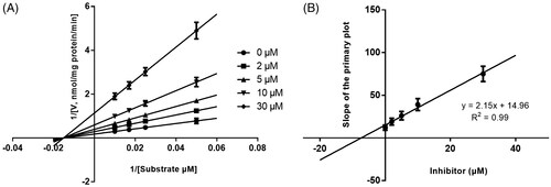 Figure 4. Lineweaver-Burk plots (A) and the secondary plot for Ki (B) of inhibition of KF on CYP3A4 catalyzed reactions (testosterone 6β-hydroxylation) in pooled HLM. Data are obtained from a 30 min incubation with testosterone (20–100 μM) in the absence or presence of KF (0–30 μM). All data represent the mean of the incubations (performed in triplicate).