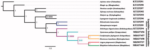 Figure 1. The phylogenetic tree of Bayesian interface analysis based on 13 PCGs and 2 rRNAs from 14 species.