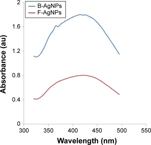 Figure 1 Synthesis and characterization of B-AgNPs and F-AgNPs using culture supernatant of Bacillus tequilensis and culture filtrate of milky mushroom, respectively.Notes: The formation of AgNPs was confirmed using UV-vis spectroscopy. The absorption spectra of B-AgNPs and F-AgNPs exhibited a strong broad peak at 410 nm, and observation of such a band is assigned to surface plasmon resonance of the particles.Abbreviations: AgNPs, silver nanoparticles; B-AgNPs, bacterium-derived AgNPs; F-AgNPs, fungus-derived AgNPs; UV-vis, ultraviolet-visible.
