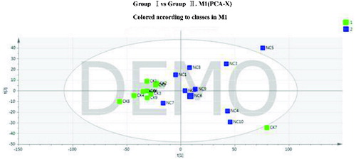 Figure 2. Principal component analysis (PCA) score plot of groups I and II.