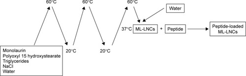 Figure 1 Schematic representation of preparation of ML-LNCs and peptide-loaded ML-LNCs.Abbreviation: ML-LNCs, monolaurin-lipid nanocapsules.