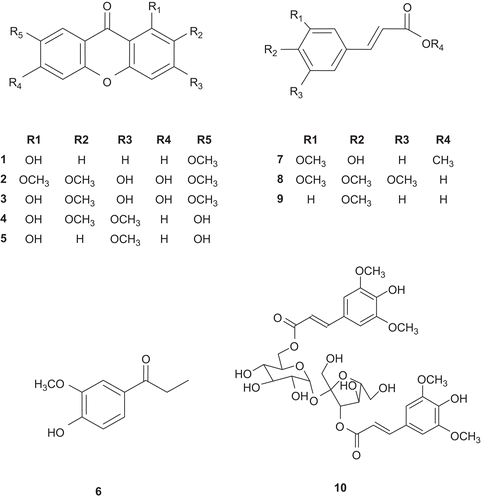 Figure 2.  Structures of the compounds isolated from P. tenuifolia.