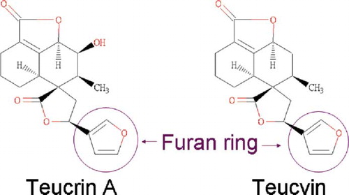 Fig. 3.  Structures of Teucrin A and Teucvin.