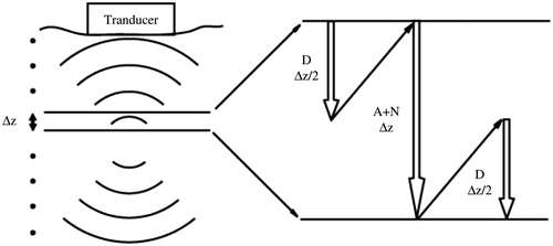 Figure 1. Illustration of step-marching scheme and second-order operator splitting operator used in the nonlinear acoustic wave propagation plane-by-plane in incremental steps from the transducer. Each step involves the effect of diffraction (D), attenuation (A), and nonlinearity (N).