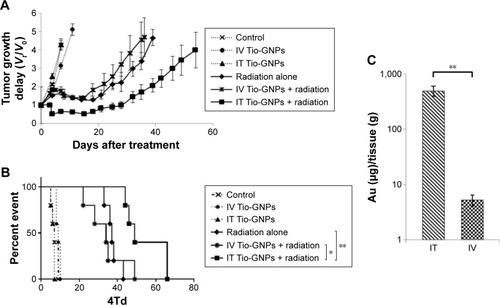 Figure 6 In vivo study of tumor growth delay after different treatments and tumor uptake of Tio-GNPs measured after IV or IT injection.Notes: (A) The tumor growth delay after the initial treatment of nude mice bearing HCT116 colorectal tumor with IT PBS, IT Tio-GNPs, IT PBS plus radiation, IT Tio-GNPs plus radiation, and IV Tio-GNPs plus radiation. Tumor growth delay is reported as Vt/V0 ratio, where Vt is the mean tumor volume on a given day during the treatment and V0 is the mean tumor volume at the beginning of the treatment. Each symbol represents the mean ± SEM of the results obtained with at least five tumors. (B) Kaplan–Meier curve of mice whose tumors have reached the 4Td. An event is defined as the tumor size reached four times of its original size (4Td), (n=5) (C) Tumor uptake of Tio-GNPs at 8 hours after IT or IV after injecting 20 μL at a concentration of 36.63 mg/mL of Tio-GNPs/rat. Unpaired t-test was performed to analyze the difference between tumor uptake of Tio-GNPs by IT and IV injection. Results are in response to a log-rank test. *Significant at P<0.05, **Significant at P<0.01.Abbreviations: IT, intra-tumoral; IV, intravenous; NS, not significant; PBS, phosphate-buffered saline; Tio-GNPs, tiopronin-coated gold nanoparticles; SEM, standard error of the mean.