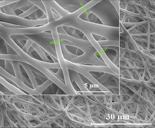 Figure 2. SEM images of the electrospun bacterial PHB nanofiber scaffolds. The insets show higher magnification images of the surfaces. Bacterial PHB nanofiber scaffolds with a diameter of 700 nm to 800 nm are obtained. Scale bars are 30 and 5 μm.