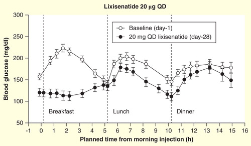 Figure 1. Sixteen-hour blood glucose concentrations in response to standardized meals at breakfast, lunch and dinner at baseline and day 28 in patients (n = 21) with Type 2 diabetes after administration of lixisenatide. Data are mean ± standard error.