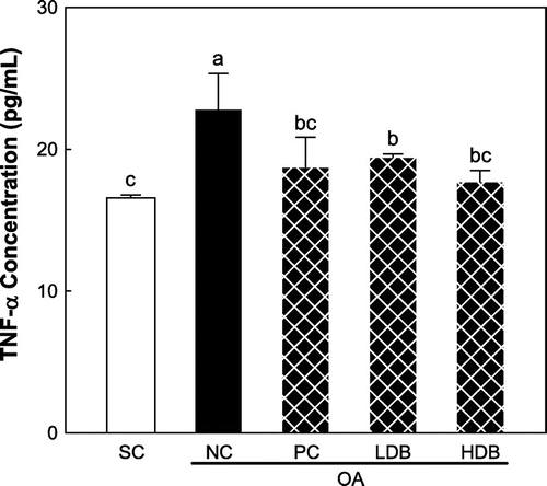 Fig. 2. TNF-α level in serum of the MIA-induced OA rats treated with deer bone extract for 50 days.Note: Values are mean ± SD. Differences between groups (10 rats/group) were analyzed using one-way ANOVA by Tukey’s multiple range tests. Means with different superscript letters are significantly different at p < 0.05. Each group was assigned as follows: SC (PBS injection + non-treatment); NC (MIA injection + non-treatment); PC (MIA injection + 125 mg/kg glucosamine sulfate + 125 mg/kg chondroitin sulfate); LDB (MIA injection + 250 mg/kg deer bone extract); HDB (MIA injection + 500 mg/kg deer bone extract).