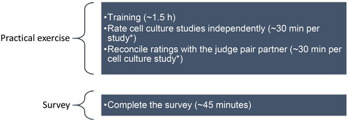 Figure 3. Estimated workload for the participants. *The number of cell culture studies each participant will receive depends on the total number of participants recruited (see Section 2.3.1).