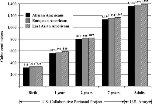 Figure 5 Mean cranial capacity (cm3) for African Americans, European Americans, and East Asian Americans from birth through adulthood. Data for birth through age 7 years from the U.S. Perinatal Project; data for adults from the U.S. Army data in Figure 4. (From Rushton, Citation1997, p. 15, Figure 2. Copyright 1997 by Ablex Publishing Corp. Reprinted with permission.).