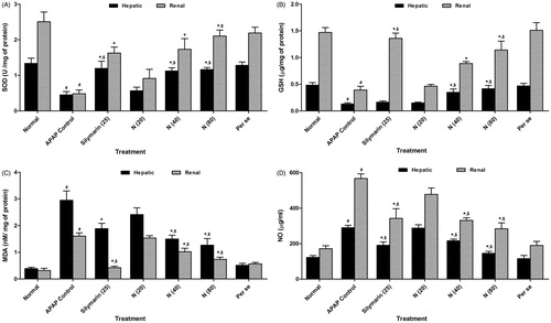 Figure 1. Effect of naringin treatment on hepatic and renal SOD (A), GSH (B), MDA (C) and NO (D) in APAP-induced toxicity in rats. Data are expressed as mean ± SEM (n = 6) and analyzed by one-way ANOVA followed by Tukey’s multiple range test for each parameter separately. *p < 0.05 as compared to APAP group, #p < 0.05 as compared to normal group and $p < 0.05 as compared to one another group. APAP: acetaminophen; N (20): naringin (20 mg/kg) treated; N (40): naringin (40 mg/kg) treated; N (80): naringin (80 mg/kg) treated; SOD: superoxide dismutase; GSH: glutathione; MDA: malondialdehyde; NO: nitric oxide.