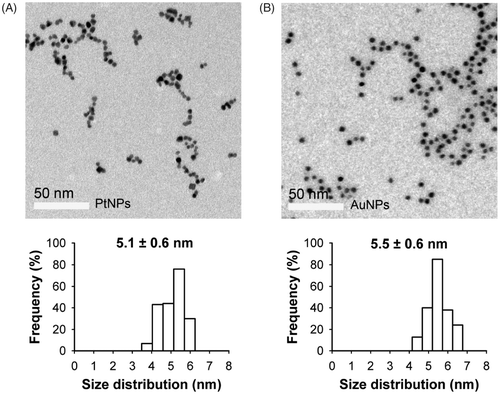 Figure 2. TEM images of PtNPs (A) and AuNPs (B). The size distribution diagrams are shown in the bottom panels. The scale bar in the TEM picture is 50 nm.