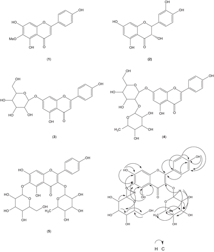 Figure 1.  Structures of compounds 1–5, and major HMBC correlation observed in 5.