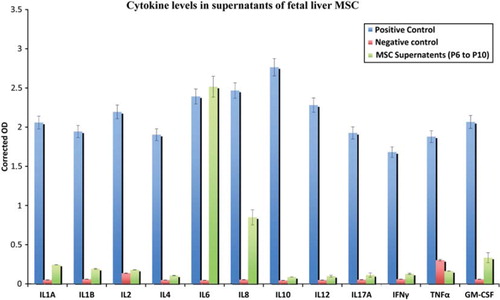 Figure 3. Detection of cytokines in hFLMSC culture supernatants. The levels of common cytokines in human hFLMSC culture supernatants were assessed using ELISA. Supernatants showed high levels of IL-6 and IL-8, while low levels of IL-1α, IL-1β and GM-CSF were detected.