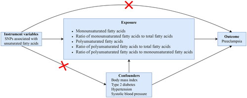 Figure 1. A directed acyclic graph for Mendelian randomization analysis. Single nucleotide polymorphisms associated with unsaturated fatty acids were screened as IVs. SNPs associated with body mass index, type 2 diabetes, hypertension, and systolic blood pressure were removed to reduce the bias caused by confounders.