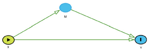 Figure 2 The direct effect of X (eg, SNP) on the outcome Y (eg, FEV1) is represented by the arrow from X directly to Y. The indirect effect of X (eg, SNP) on the outcome Y (eg, FEV1) through the mediator M (eg, smoking history) is represented by the path from X to M to Y (eg, X→M→Y).