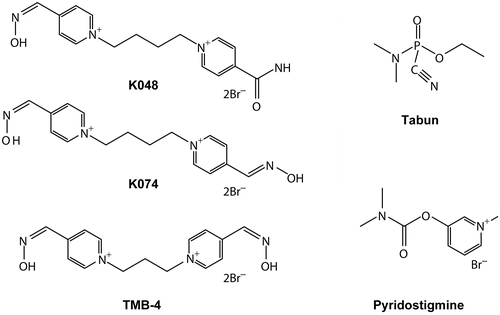 Figure 1.  Structures of oximes, pyridostigmine, and tabun.