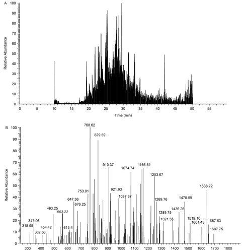 Figure 1.  An illustration of nano-LC/MS/MS analysis of tryptic peptides obtained from TBTO-treated cells. (A) Total ion chromatogram; (B) Tandem mass spectra of the peak at retention time 28.58 min.