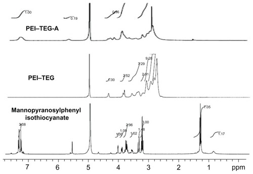 Figure 2 1H-NMR spectrum of mannopyranosylphenyl isothiocyanate in CD3OD: δ = 7.1–7.2 (4Ar-H), δ = 5.5 (C1-H), δ = 3.2–4.0 (C2-H,C3-H,C4-H,C5-H.2C6-H); 1H-NMR spectrum of PEI–TEG in D2O: δ = 4.23 (NHCOOCH2CH2OCH2), δ = 3.77 (NHCOOCH2CH2OCH2), δ = 3.73 (NHCOOCH2CH2OCH2), δ = 3.48; 1H-NMR spectrum of PEI–TEG-A in D2O: δ = 4.23 (NHCOOCH2CH2OCH2), δ = 3.77 (NHCOOCH2CH2OCH2), δ = 3.73 (NHCOOCH2CH2OCH2), δ = 3.48 (HOCH2CH2OCH2), δ = 3.3–2.5 (–NHCH2CH2–), δ = 7.0–7.4 (–CH–, mannopyranosylphenyl isothiocyanate).Abbreviations: PEI, polyethyleneimine; TEG, triethyleneglycol; PEI-TEG, polyethyleneimine and triethyleneglycol polymer; PEI-TEG-A, mannosylated PEI-TEG derivative A; ppm, parts per million.