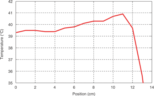 Figure 2. A typical temperature profile along the thermal mapping catheter inserted in the vagina. Position 0 cm represents the deepest point in tissue whereas the transition between inside and outside the lumen is at 11–12 cm.