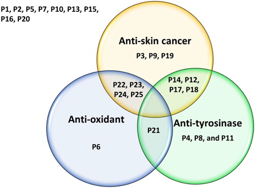 Figure 10. The Venn diagram summarises the anti-proliferative (anti-skin cancer), antioxidant, and tyrosinase inhibitory effects of the 25 compounds. Dual-acting compounds were identified with noteworthy anti-proliferative and antioxidant activity (P22, P23, P24, and P25); anti-proliferative and anti-tyrosinase activity (P12, P14, P17, and P18); and antioxidant and anti-tyrosinase activity (P21). Some tested compounds exhibited only a single noteworthy activity: antioxidant (P6); anti-tyrosinase (P4, P8, and P19), and/or anti-skin-cancer (P3, P9, and P19).