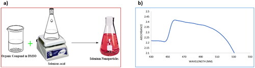 Figure 4. (a) A schematic diagram of the synthesis of selenium nanoparticles; (b) UV-Vis spectrum of selenium nanoparticles.