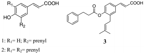 Figure 1.  Chemical structures of the prenylated p-coumaric acids from Brazilian propolis: 1, drupanin; 2, artepillin C; 3, baccharin.
