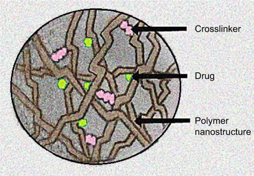Figure 7 Structure of a drug-loaded polymer nanoparticle.