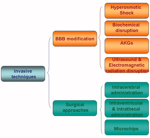Figure 4. A schematic representation of current strategies to deliver drugs to the brain by invasive techniques. It encloses surgery-needed approaches and BBB disruption whilst non-invasive techniques include drug modification by medicinal chemistry approaches and drug encapsulation through nanotechnological carriers.