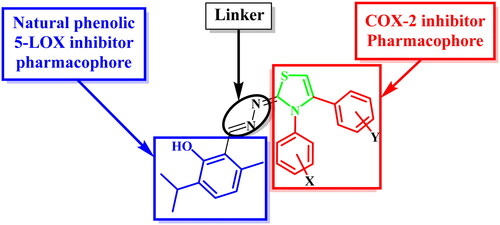 Figure 2. Design of thymol—3,4-disubstitutedthiazole hybrids as dual COX-2/5-LOX inhibitors.
