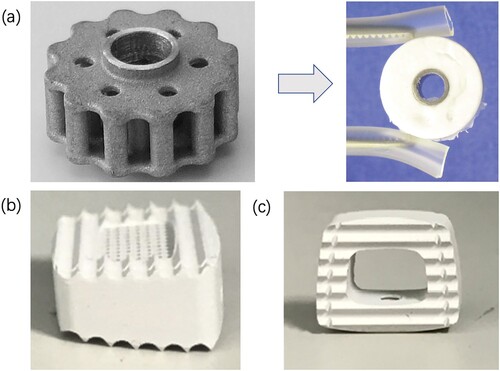 Figure 5. Spinal cage made of Mg-based alloys. (a) A hybrid cage consisting of the AZ31 alloy and PCL [Citation391]. Left: AZ31 alloy skeleton of the cage, Right: Cage after infiltration and covering with the PCL; (b) A micro-arc oxidation (MAO)-coated Mg–Zn alloy cage [Citation392]; (c) An MAO-coated AZ31 alloy cage [Citation393].