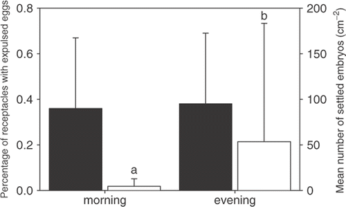 Fig. 4. Mean egg expulsion (black bars) and number of settled embryos (white bars) of Sargassum muticum during morning and evening samplings on the same day. Error bars show standard deviations (n=6), lower case letters indicate grouping of means with significant differences (α=0.05).