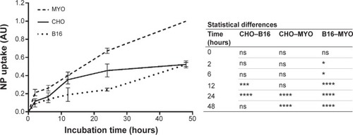 Figure 6 Quantification of time-dependent uptake of RITC-labeled PAA-coated NPs.Notes: CHO, B16, and MYO cells were incubated with 100 μg/mL NPs for different time intervals (0, 2, 6, 12, 24, and 48 hours), and fluorescence intensity was measured spectrofluorimetrically. Results are presented as measured RITC fluorescence normalized to the highest measured fluorescence in each experiment (MYO cells after 48 hours of incubation). Mean and standard error are shown for four independent experiments. Statistical differences between all three cell types for each time point are shown in the table on the right. Statistical significance is displayed as follows: ns is not significant (P>0.05); *P≤0.05; ***P≤0.001; ****P≤0.0001.Abbreviations: B16, mouse melanoma cell line; CHO, Chinese Hamster Ovary cell line; MYO, primary human myoblasts; NP, nanoparticle; PAA, polyacrylic acid; RITC, rhodamine B isothiocyanate.