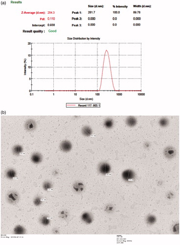 Figure 2. Size and shape analysis of optimized formulation (EQNP): (a) dynamic light scattering report and (b) transmission electron microscopy photograph.